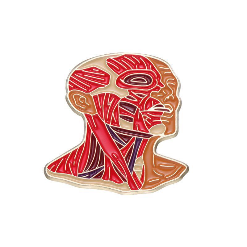 Pin Médico Anatomía Humana Acabado Metalizado